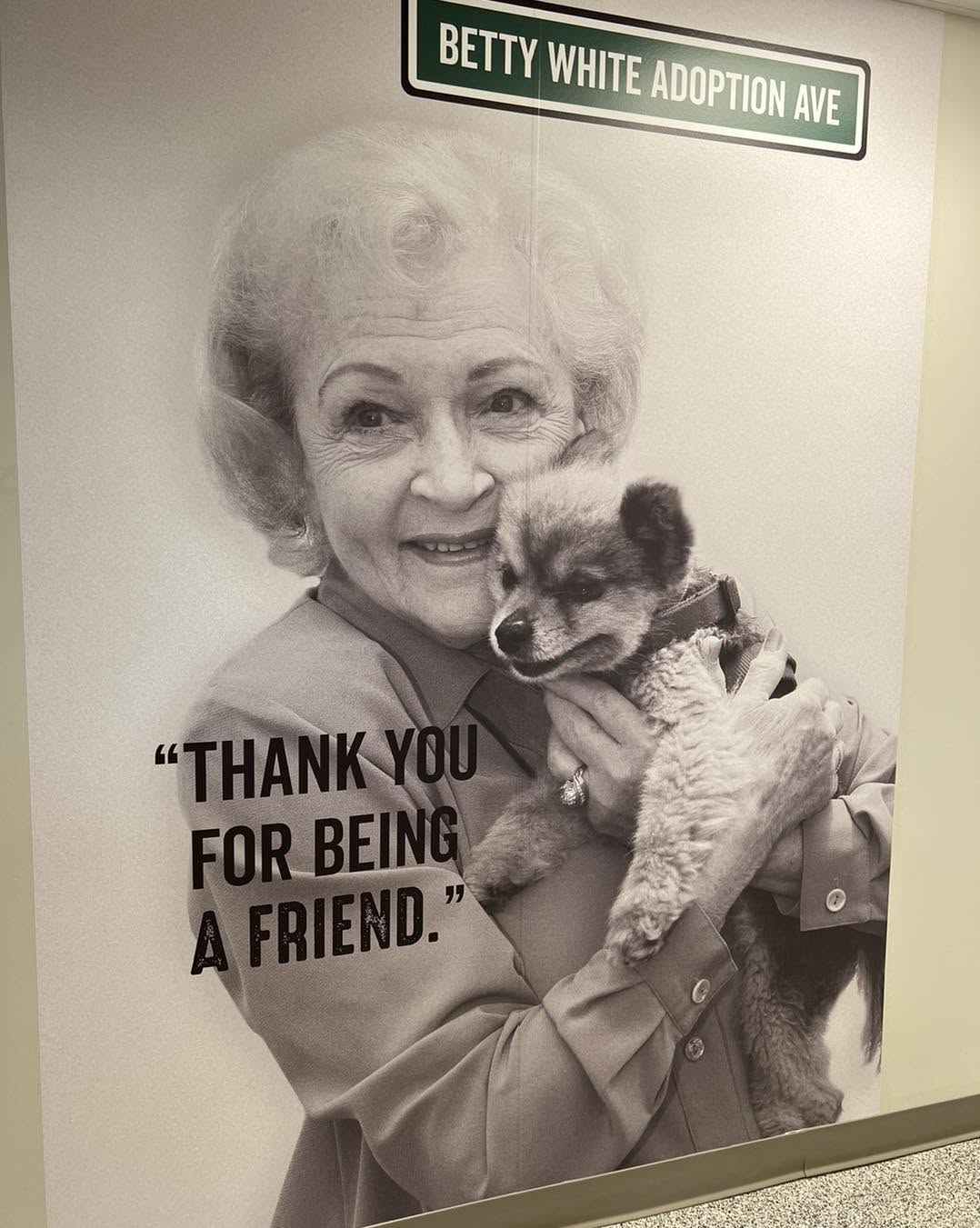 Betty White DDR