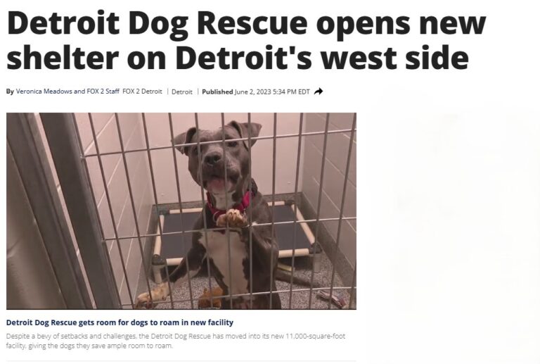 Detroit Dog Rescue opens new shelter on Detroit's west side