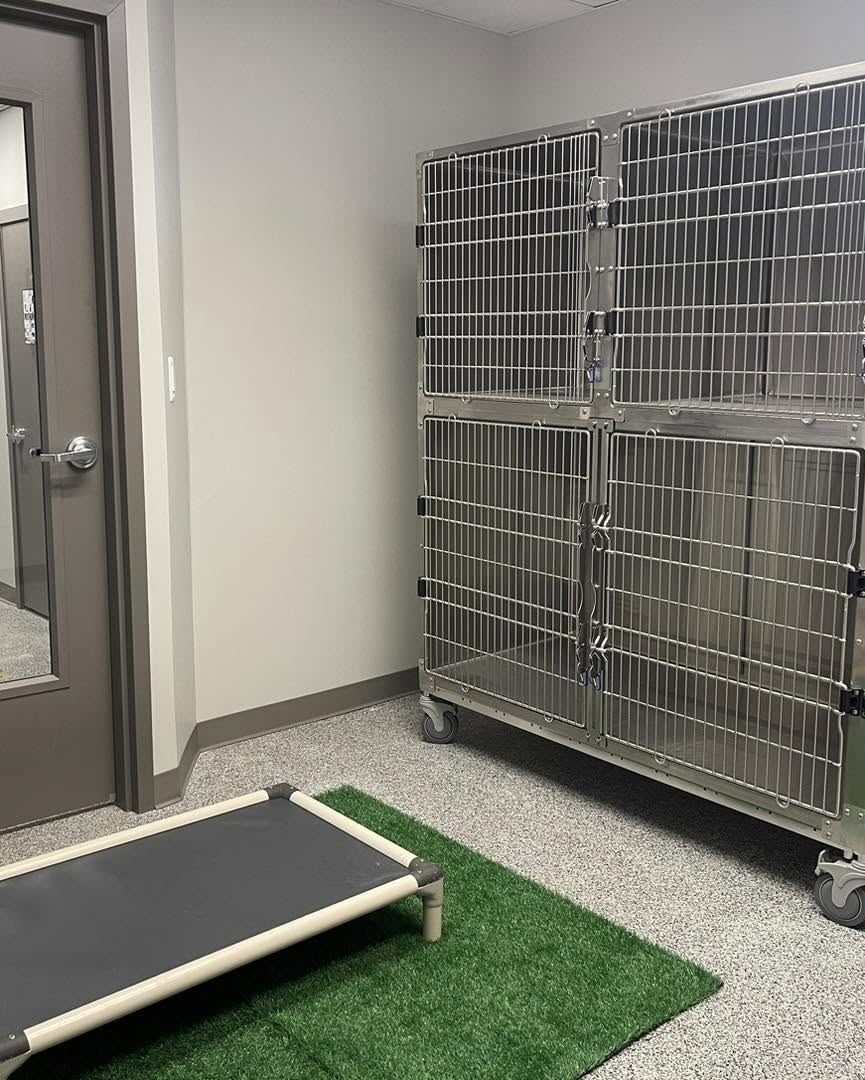 Kennels DDR 2
