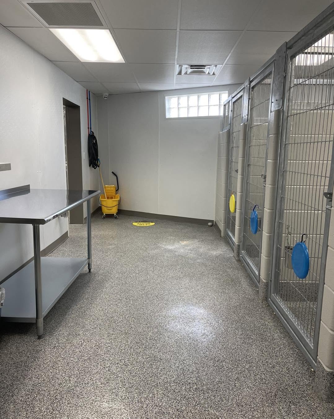 Kennels DDR 3