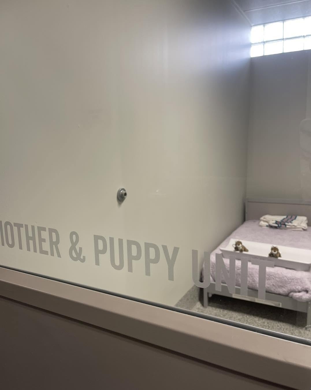 Mother & Puppy Unit DDR