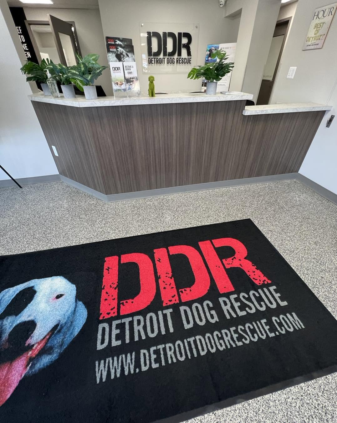 Reception area DDR