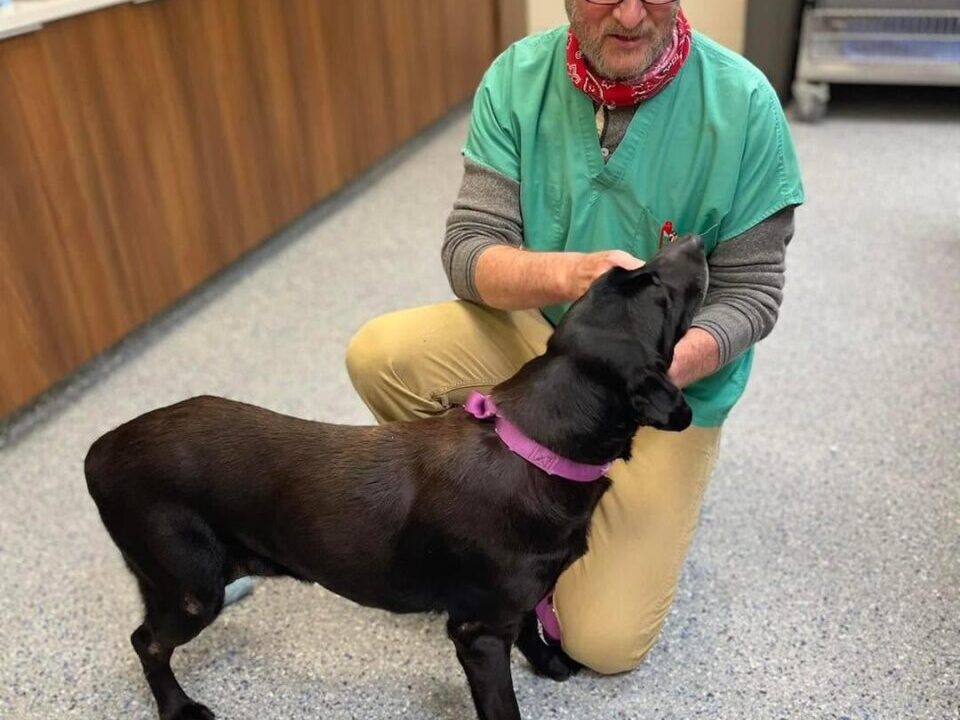 Vet Visit